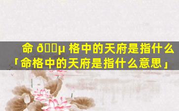 命 🐵 格中的天府是指什么「命格中的天府是指什么意思」